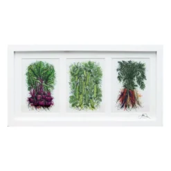 Country Living Set Of 3 Jennifer Chance Prints