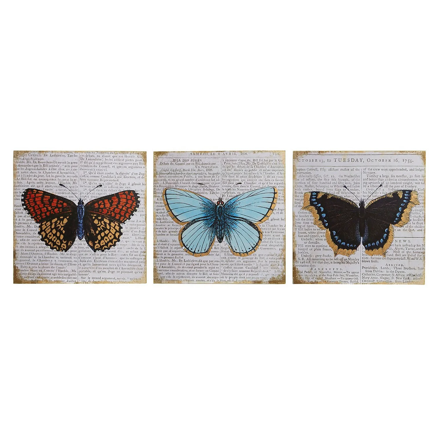 Set Of 3 Butterfly Wall Plaques - 20x20cm 1 Set Of 3 Butterfly Wall Plaques - 20x20cm